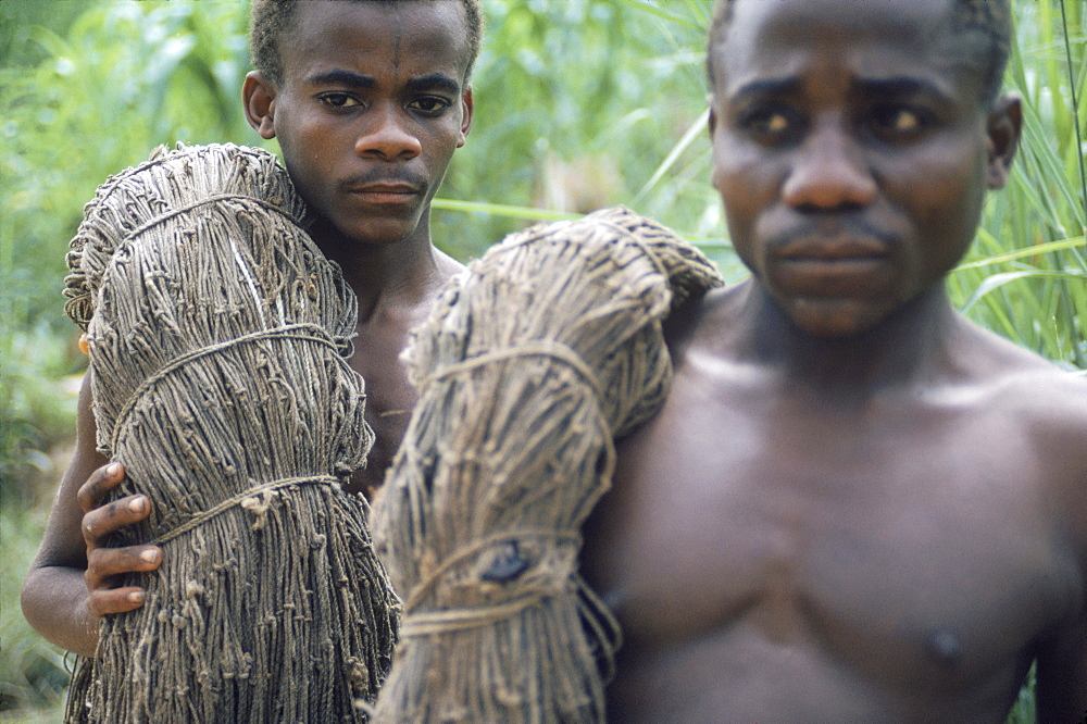 Republic of Congo (formerly Zaire) Ituri Forest. Pygmee men with their hunting nets.