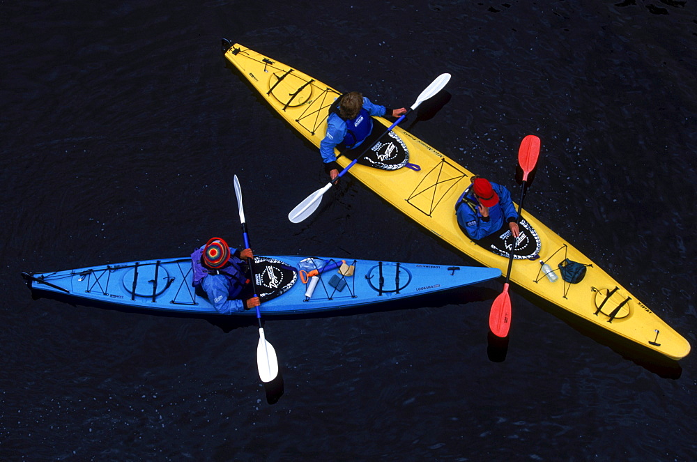 Sea Kayakers make their way up a river in Abel Tazman National Park in New Zealand.