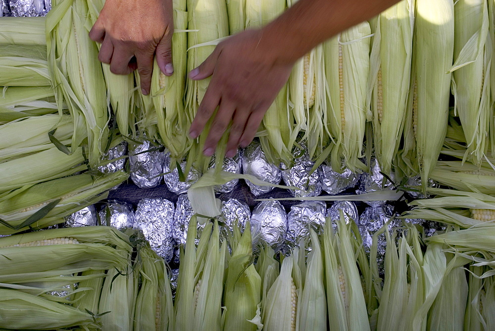 Preparing corn and potatoes for a traditional Maine lobster bake on Cabbage Island off the coast of Boothbay Harbor.