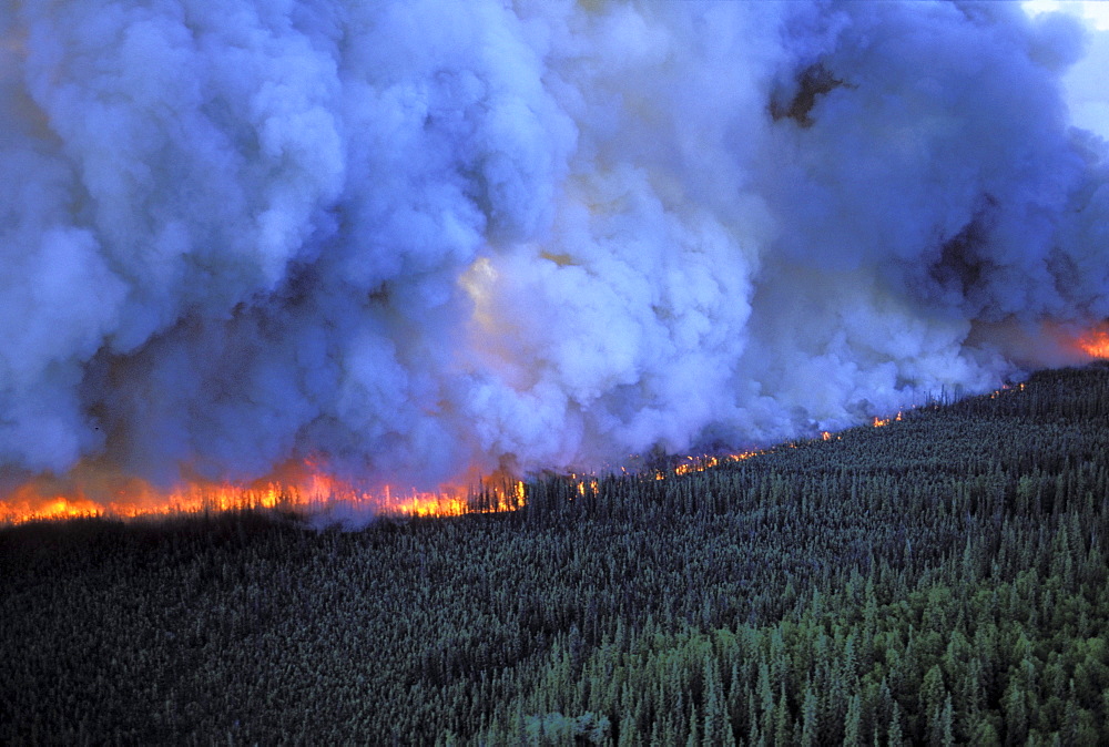 Forest fire north of Fairbanks, Alaska.