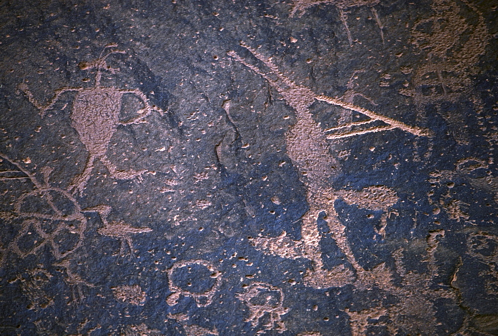 This panel of prehistoric petroglyphs includes a well-endowed Kokopelli, a diety of fertility, Sand Island, near Bluff, Utah.