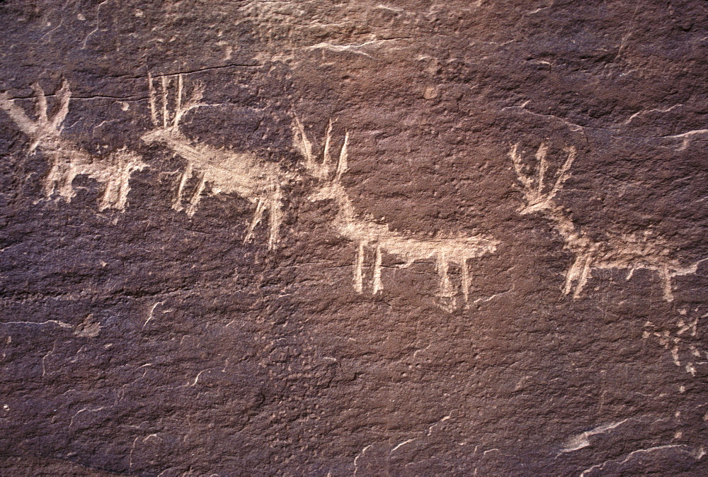 Historic petroglyphs (probably Navajo in origin) at Sand Island, near Bluff, Utah.