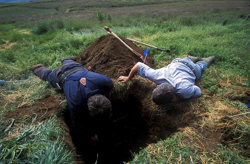 American archeologists, Antonio Gilman and John Steinberg, examine a test pit in a farmer's field near Glaumbaer in northcentral Iceland. Steinberg made an important discovery in Glaumbaer in 2001. He found the homestead of Thorfinn Karlsefni, the father of the first European born in the New World. This find has important implications for Viking history.