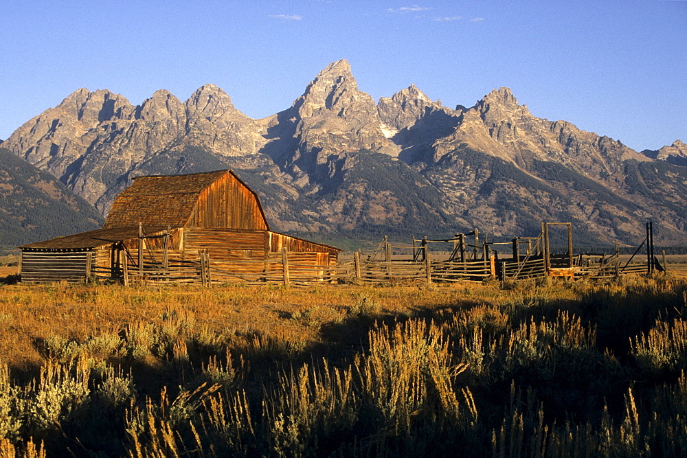 A scenic view of a historic Mormon Row barn at sunrise in Grand Teton National Park, Jackson Hole, Wyoming.