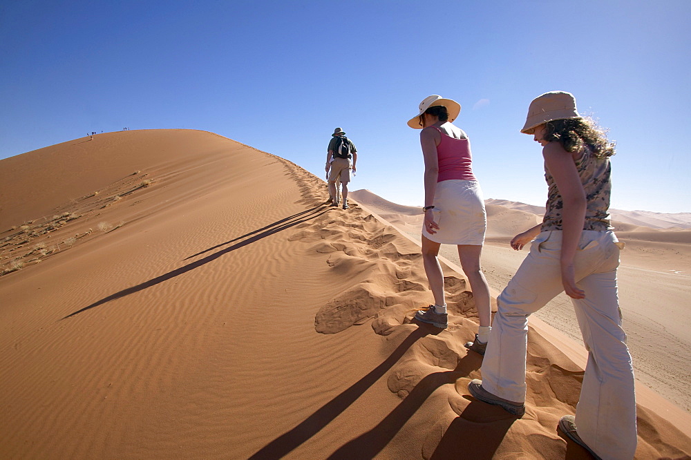 Namibia, Namib desert, Travelers hike up a 500ft dune ridge on a massive dune deep in the Namib desert near the access point of Sossusvlei.