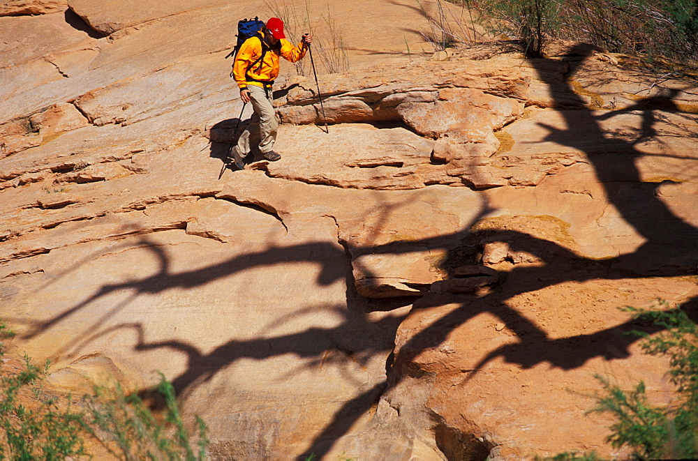 Todd Snyder uses trekking poles to keep his balance on the uneven terrain around Lake powell in Utah.