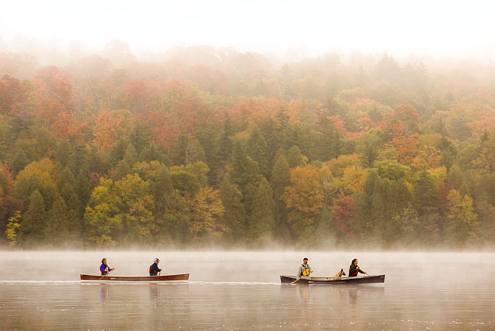 Two young couples canoe on Lake Placid on early autumn morning, Lake Placid, New York, USA.