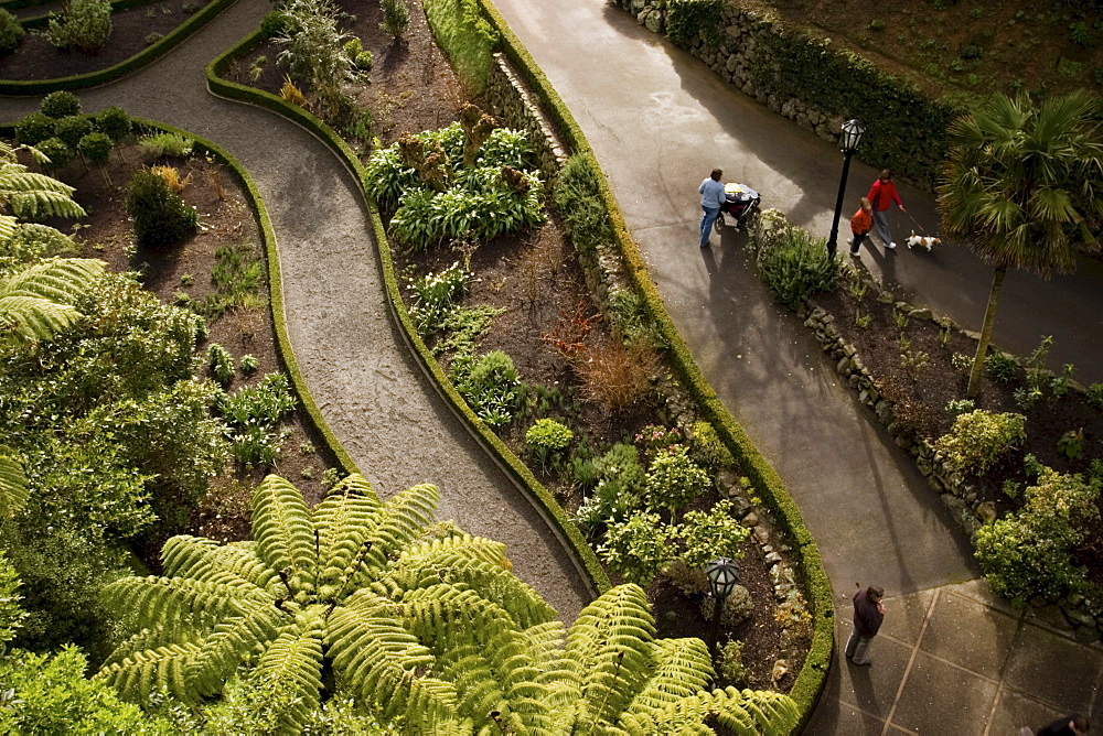 Visitors walk on the paths of Wellington Botanic Garden in New Zealand's capital city. The garden, entry to which is free, offers 25 hectares of unique landscape, protected native forest, conifers, specialised plant collections, colourful floral displays, and views over Wellington city.