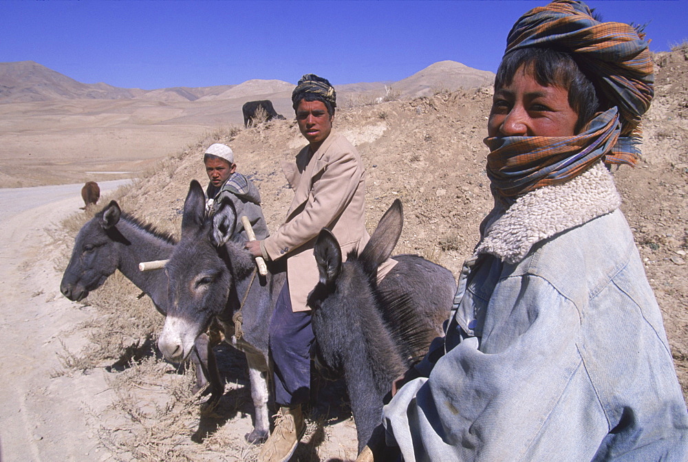 Young boys on donkeys watch over flocks of goats, sheep and donkeys near the top  of the Shebar Pass, which crosses into the Province of Bamiyan.  Due to a devastating drought in the region, dry wheat farming has failed for  three years from 1998-2002 and the forage is extremely sparse,   The pass is a strategic point leading into the Central Highlands, the Koh-i-Baba range and the Hazarajat, at the end of the Hindu Kush.  Most of the people of this region are of the Hazara tribe, and are Shi'a Moslems who have been persecuted for centuries by many of the Pashtun rulers of Afghanistan, who are from the Sunni sect.