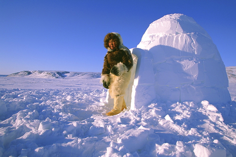 A young Inuit boy climbs out of an igloo in Northwestern Greenland.   Many of the Inuit who live in this polar region still live a subsistence hunting lifestyle and practice ice age old traditions.   Winter temperatures hover between -20 and -50 Degrees Fahrenheit in this extreme environment.