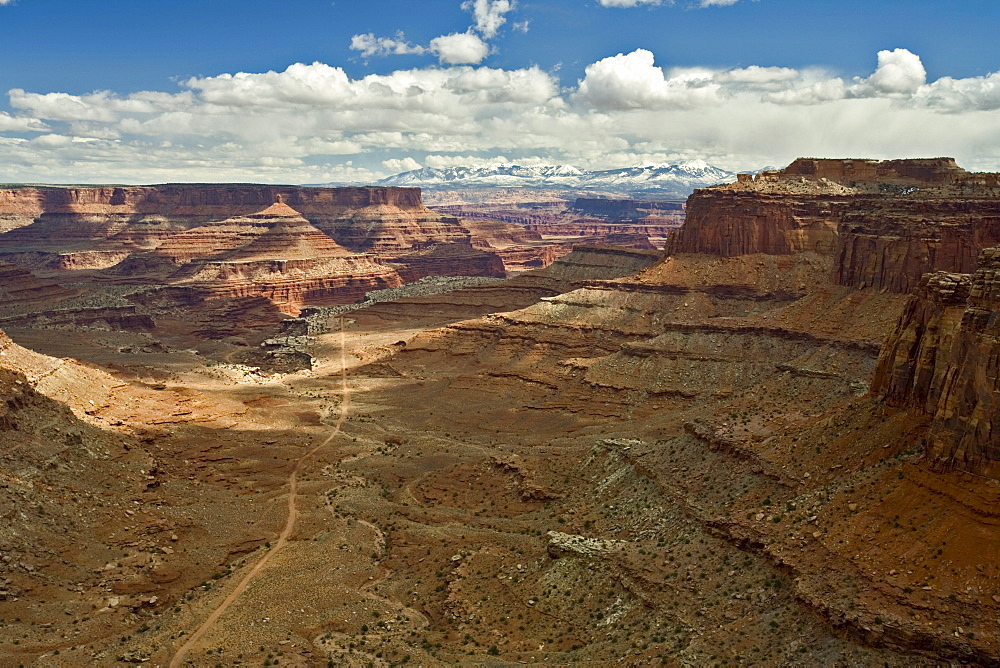 A dirt road leading out into canyonlands, Moab, Utah.