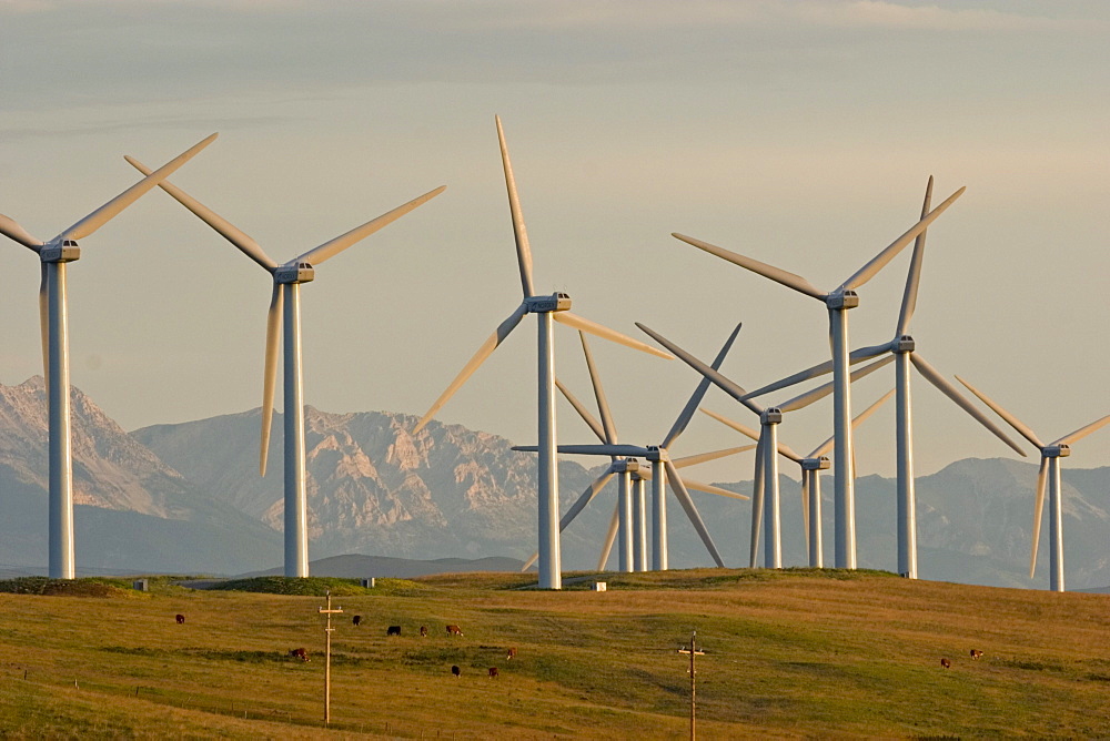 Windmills used to generate electrical power at Cowley Ridge in southern Alberta, Canada.