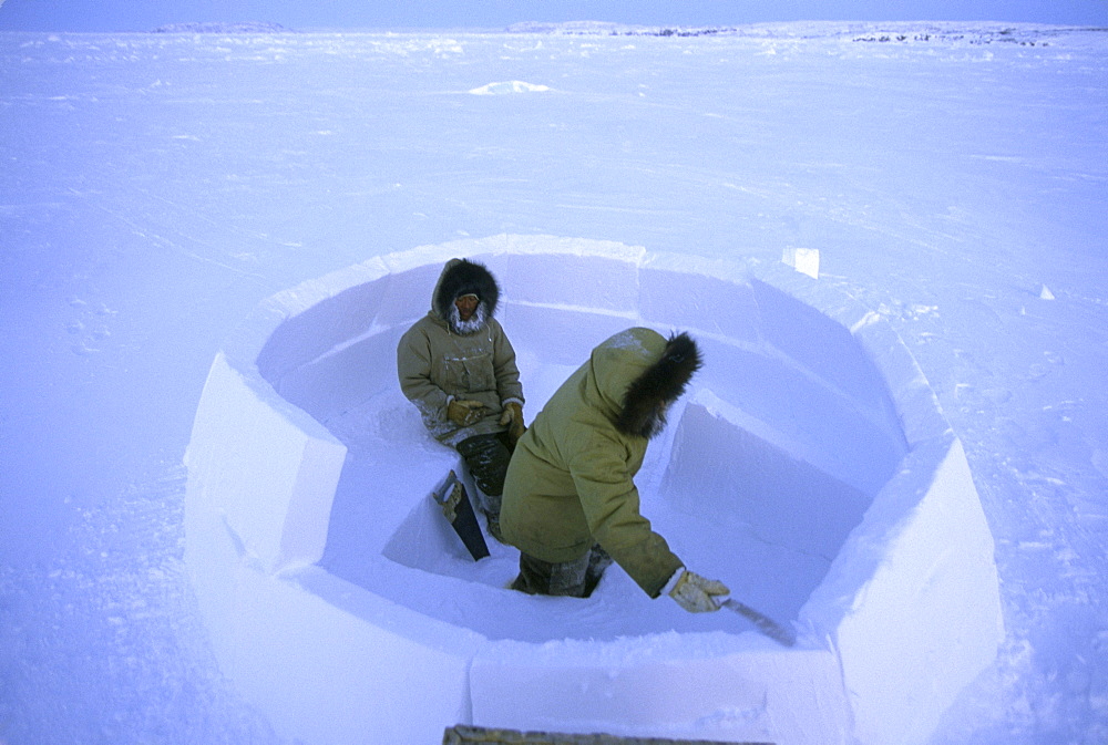 Building an igloo while on a polar bear hunt.