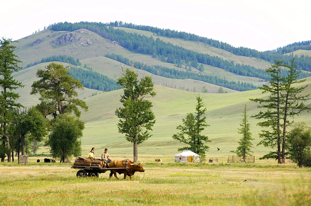 Nomadic herder, Terelj National Park, Mongolia