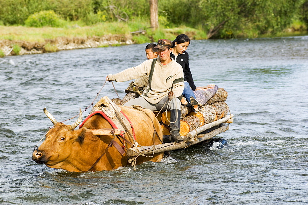 Nomadic herder, Terelj National Park, Mongolia