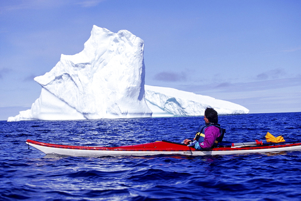 Byron Ricks paddles by a towering iceberg grounded in a cove on Quirpon island.