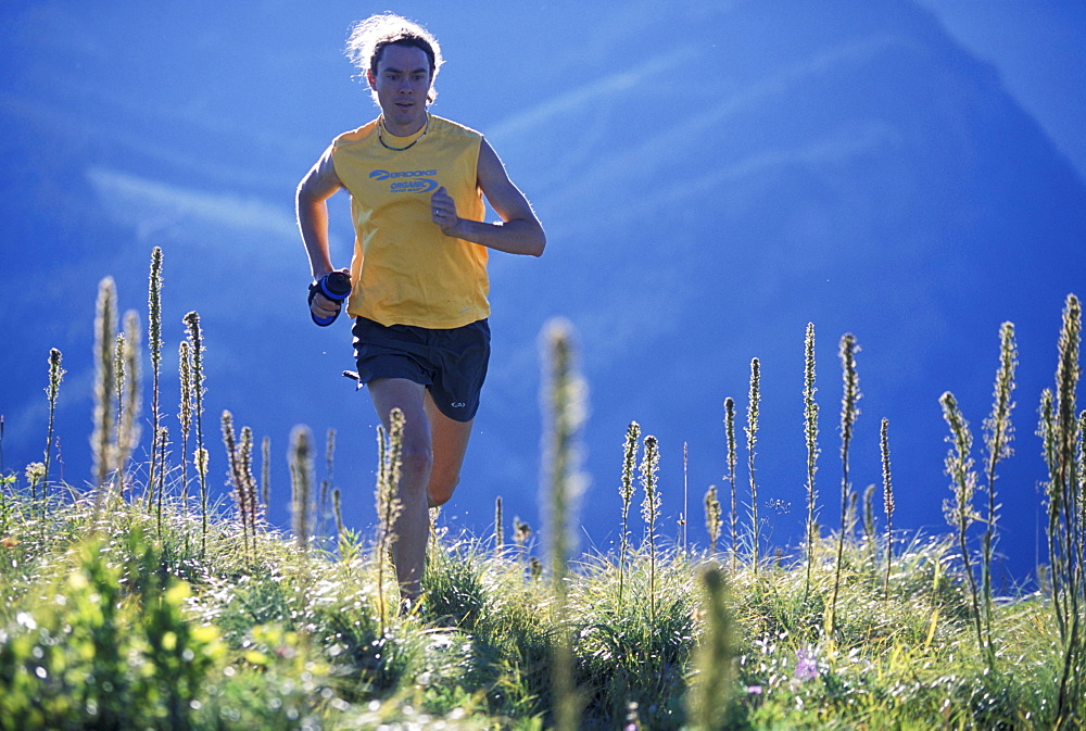 Man running in a yellow shirt in the Cascade Mountains, Washington (Back Lit).