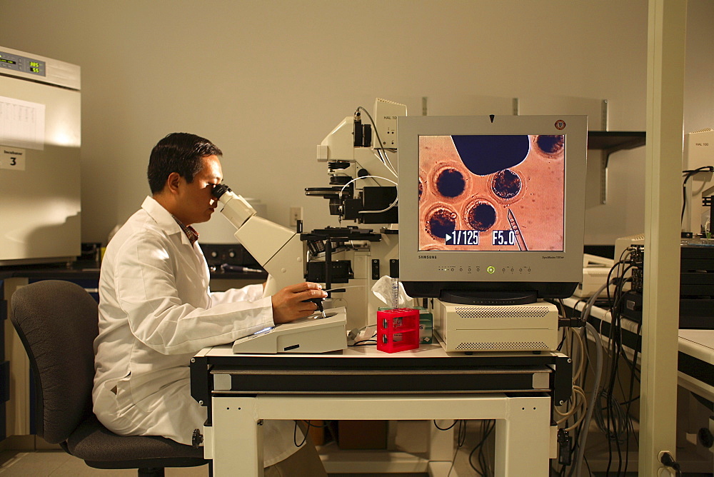 Cloning livestock at Viagen