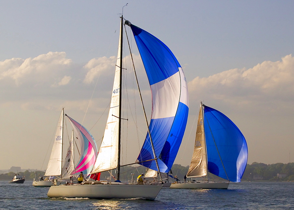 Sailboats with spinnakers flying maneuver for a starting position at the biginning of the Block Island Race.