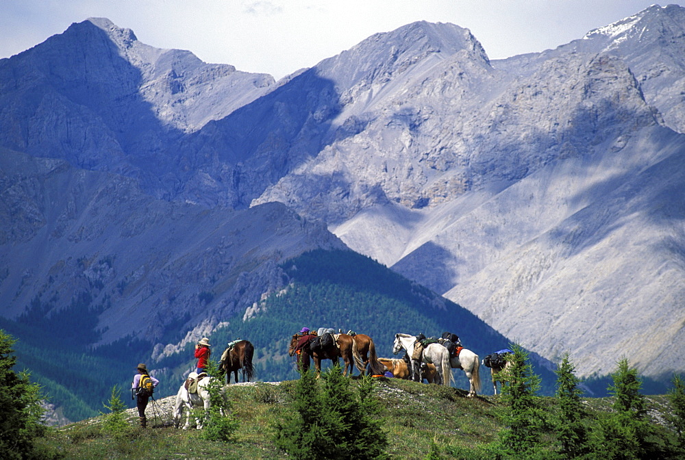 Horse trekking, Khovsgol National Park, Mongolia