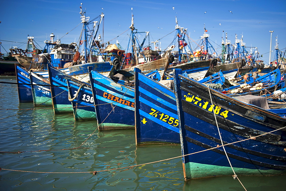 Blue fishing boats in the harbour at Essaouira, Morocco