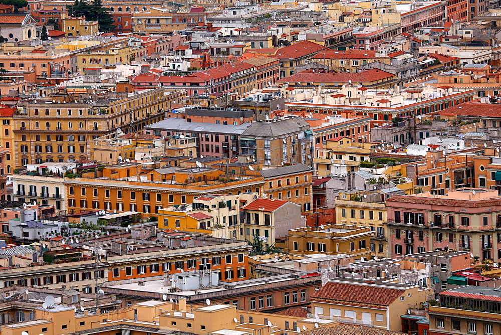 A view of Rome from St. Peter's Basilica.
