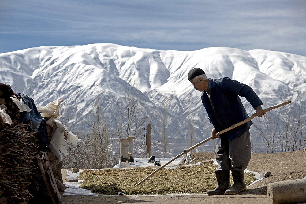 Local senior man drying up excrement in front of the Alborz Mountain range, Alamut, Iran