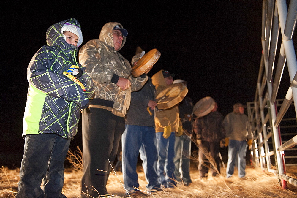 Tribal singers welcome the bison home. Yellowstone bison are unloaded to a pasture on the Ft. Peck Indian reservation.  The frst time in history Yellowstone bison have returned to the tribes.