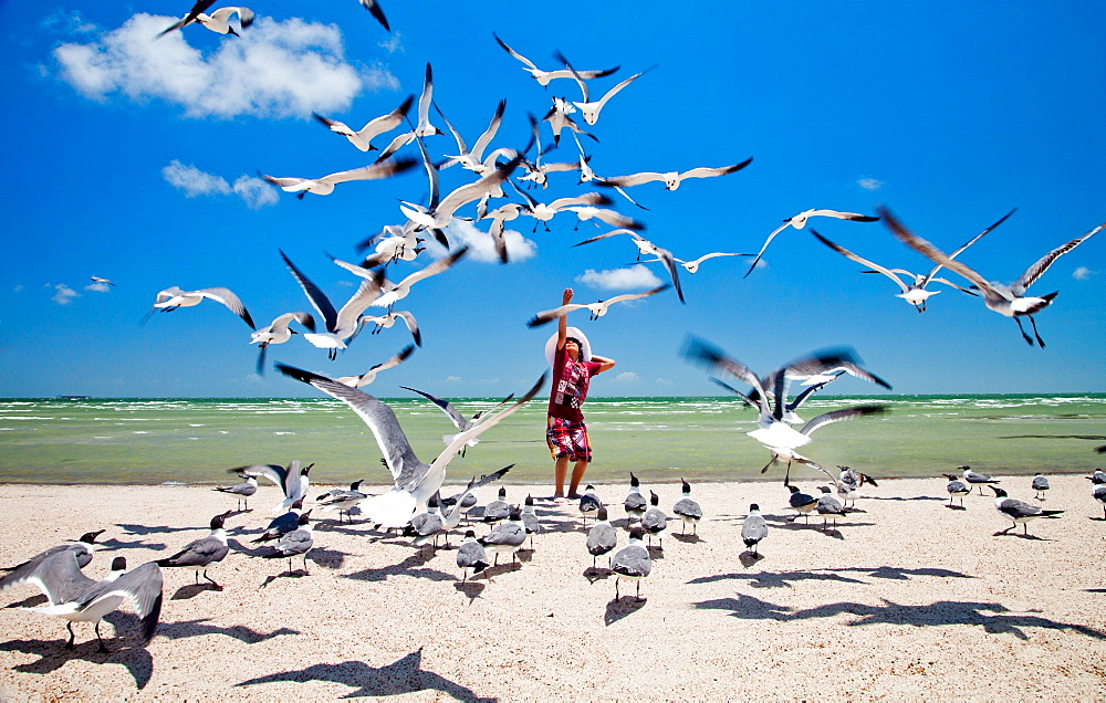 ROCKPORT, TEXAS, USA. A young boy tosses bread into the air for a flock of seagulls on a beach.