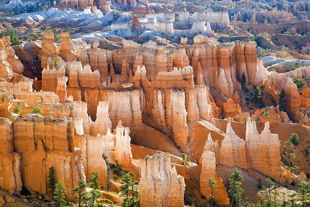 Bryce Amphitheater as seen from the Rim Trail near Sunset Point in Bryce Canyon National Park, Utah.