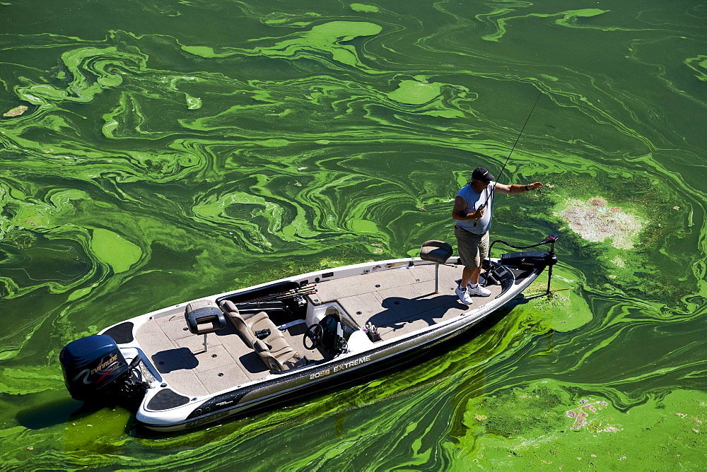 A bass fisherman casts for fish in the Toxic Blue Green Algae in the Copco Reservoir in Northern California.