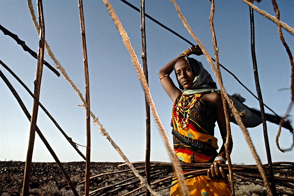 Gabbra women dismantle tents for their next move. Chaldi desert.