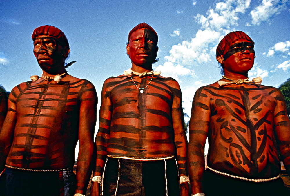 Lean brown bodies glisten with red and black paint. Mato Grosso, Brazil.