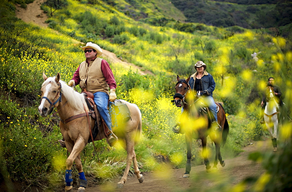 Riders on horseback make their way along a trail lined with blooming wildflowers at Griffith Park in Los Angeles, California.