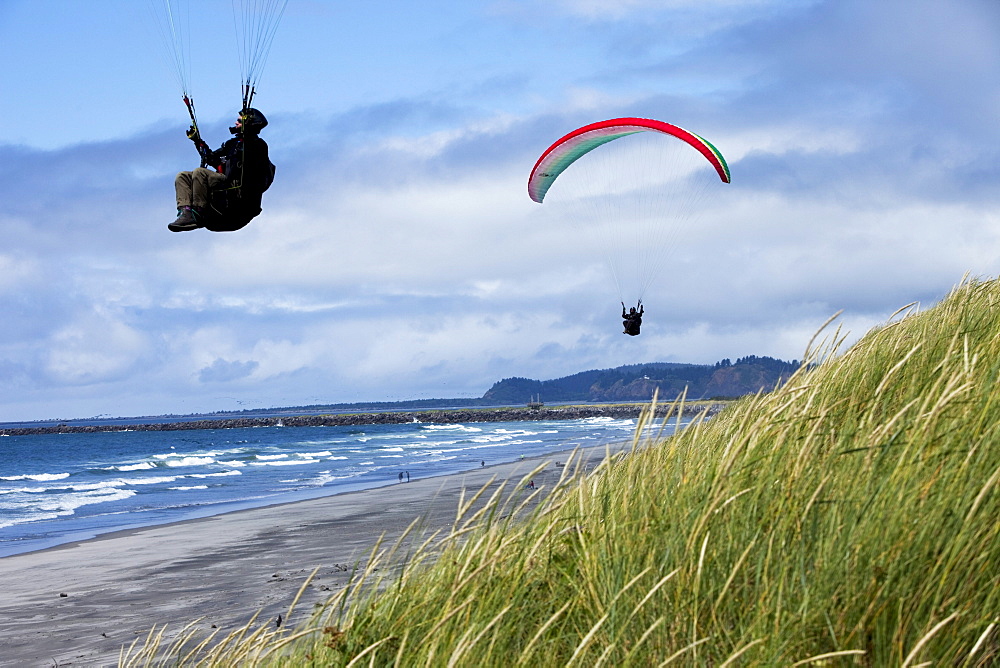 Two paragliders flying low over the beach and dunes on a sunny day.