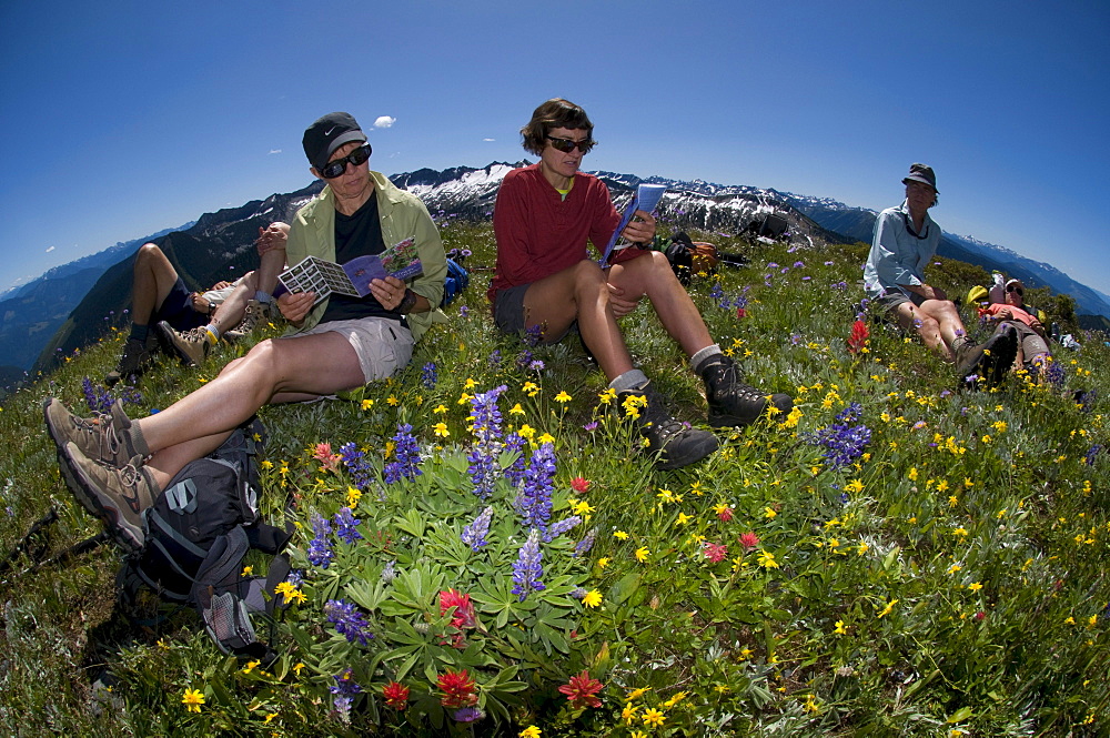 Summer trekking near Ruby Creek Lodge. Valhallas. New Denver, British Columbia, Canada