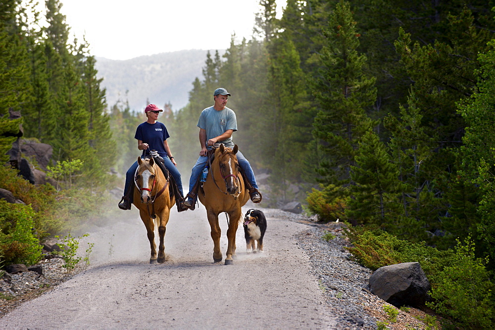 Horseback riders ride through a forested section near the northern end of the Medicine Bow Rail Trail that winds through the Medicine Bow National Forest outside of Laramie, Wyoming