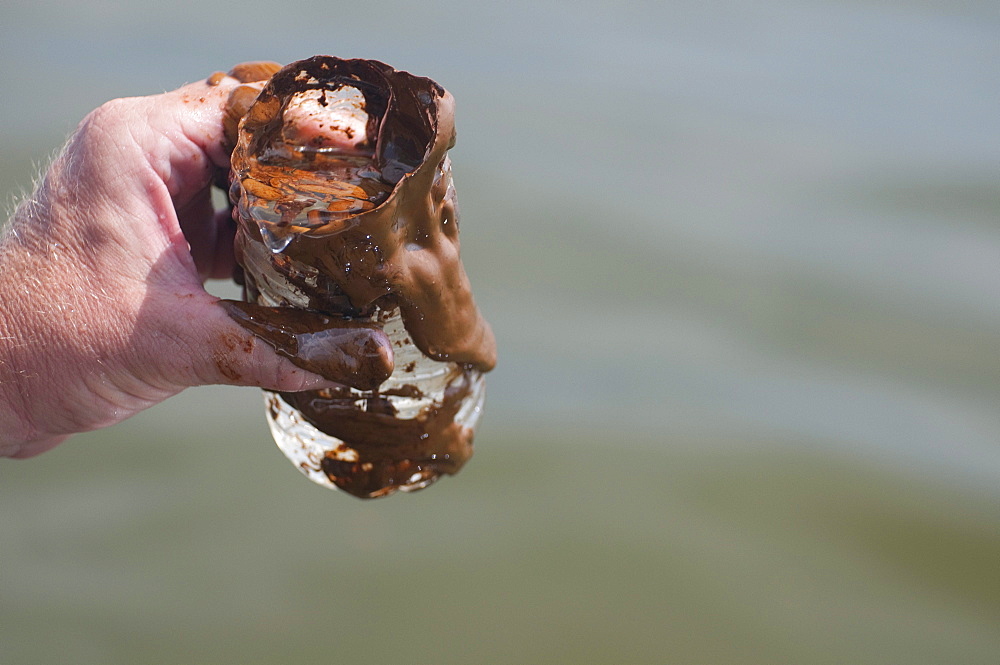 Near Grand Terre Island with NOAA  staff  to inspect oil booms and to collect and oil sample. Oil slicks on the surface are apparent everywhere.