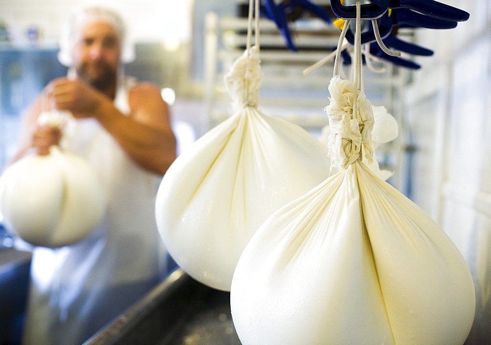 A man hangs cheesecloth bags of goat milk to make fresh chevre cheese at Beltane Farm in Lebanon, Connecticut.