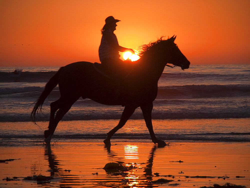 Riding a horse on the beach.