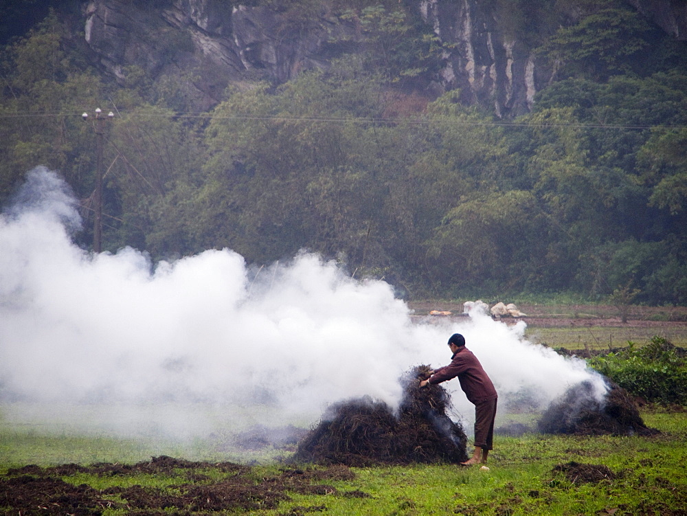 Burning plants on farm in Trang An, Vietnam