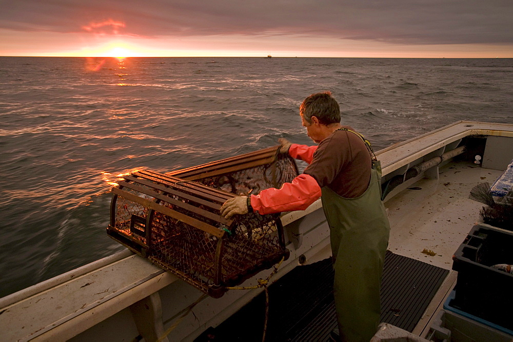 A fisherman sets a lobster trap as the sun breaks over the horizon off the coast of Prince Edward Island, Canada