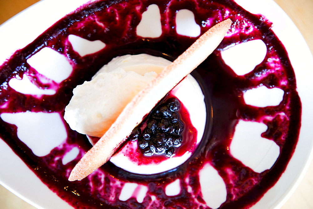 An above view of a dessert plate with a blackberry in the center.