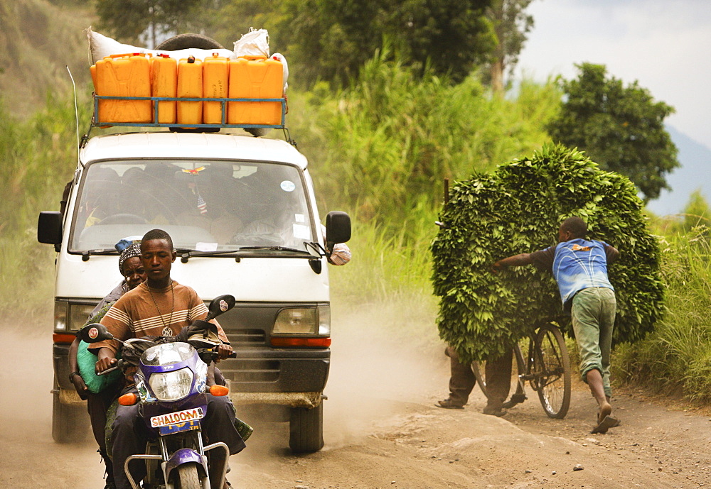 Cassava leaves brought to market by bicycle