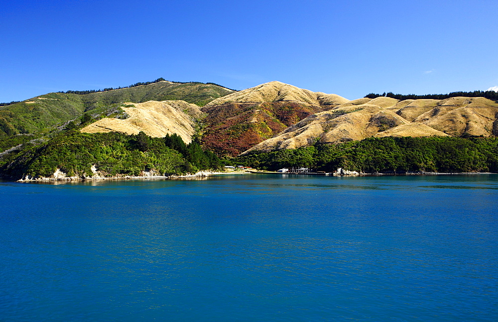 Marlborough Sounds, Picton.