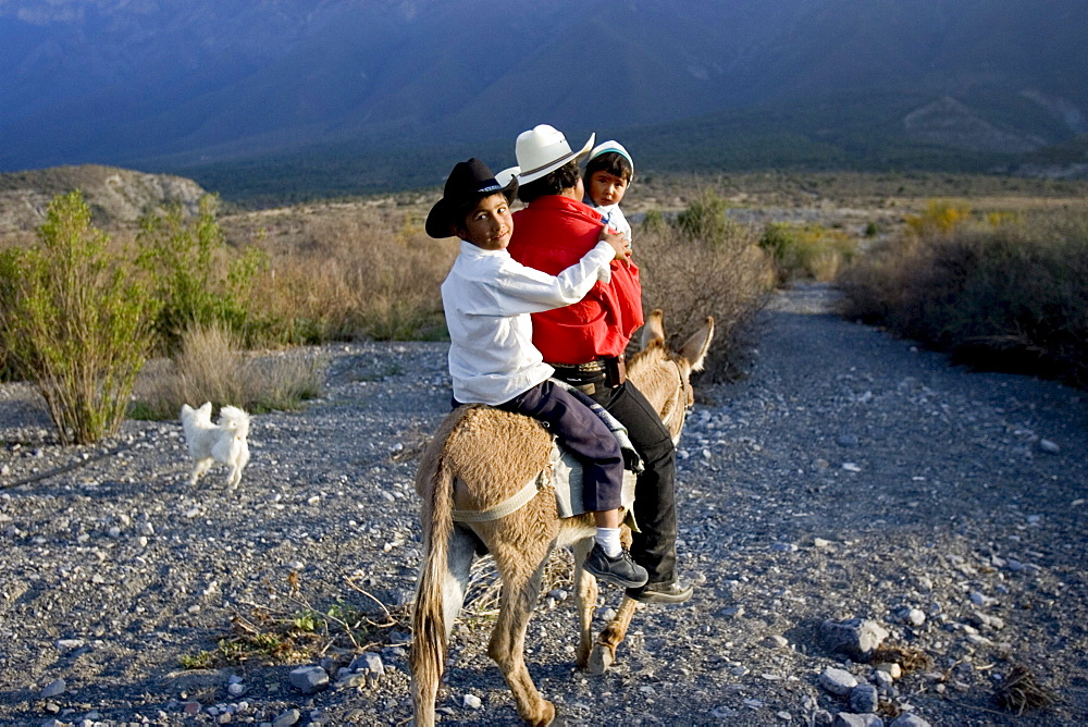 Ricardo Alvarado Aleman takes his sons for a ride on one of the family's donkeys on the land behind their home in the small mountain village of Potrero, Mexico.