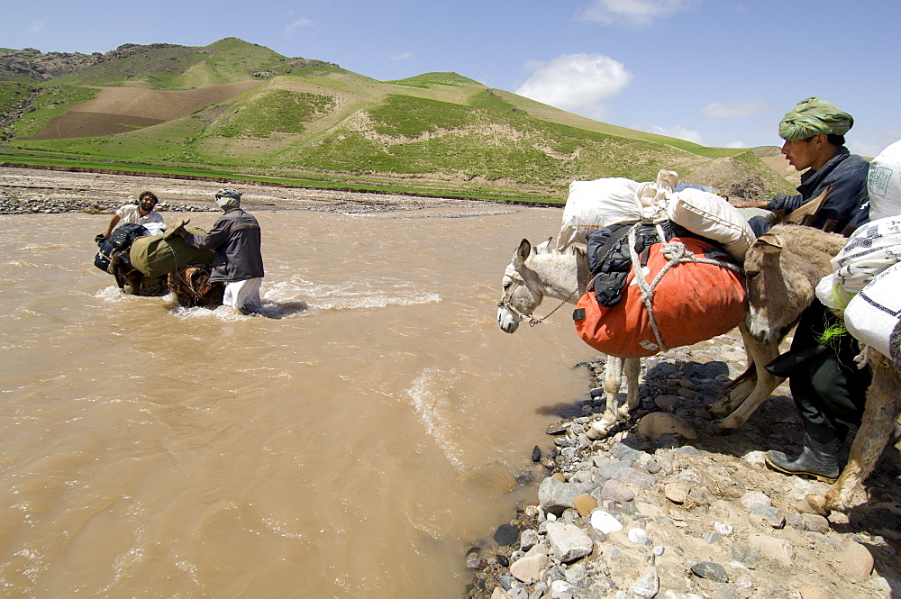 Tajik men lead donkeys laden with equipment across a river swollen with spring rains, as a team heads into the Band-e Baba range to conduct a wildlife survey, Kushk-i Kuhna District, Herat Province, Afghanistan