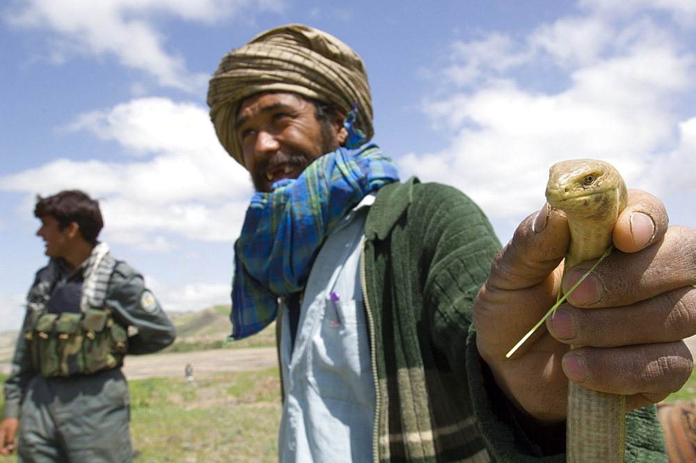 A Tajik man holds a glass lizard (Ophisaurus apodus), a leg-less lizard, found near the Band-e Baba mountains, during a wildlife survey conducted by a team sponsored by the Wildlife Conservation Society, Kushk-i Kuhna District, Herat Province, Afghanistan