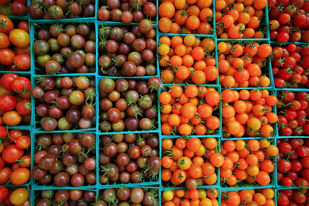 Small, tasty tomatoes at farmer's market