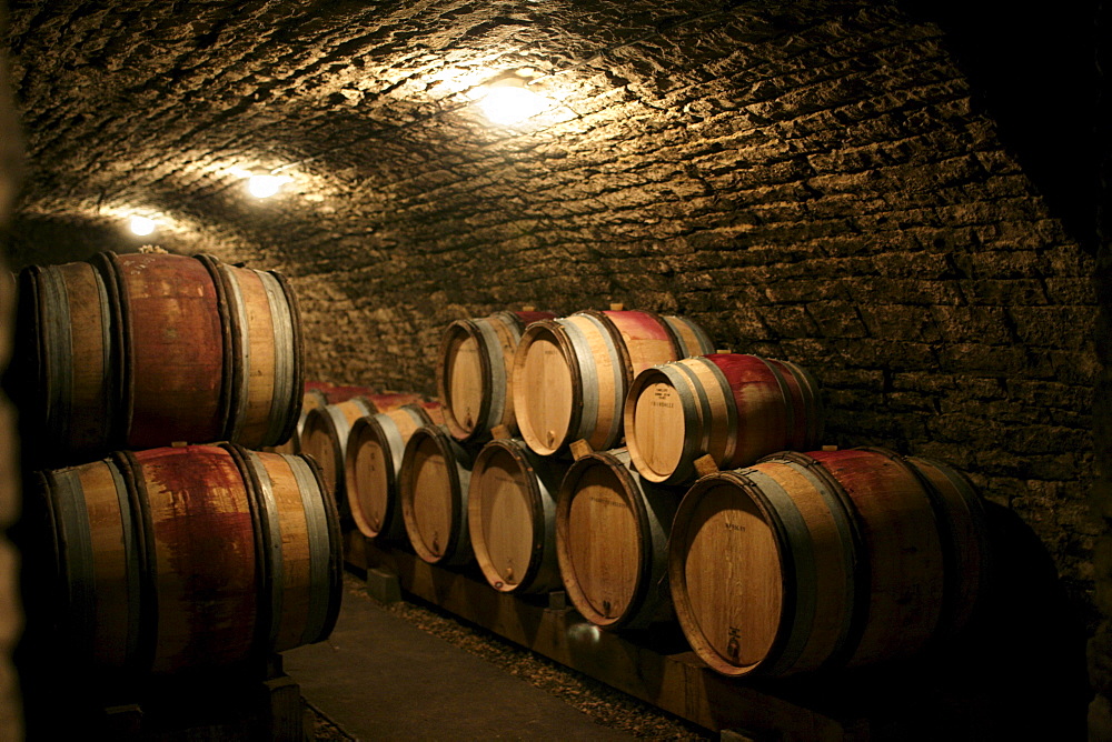 Aging pinot noir in the Cote-de-Nuits, Burgundy, France.